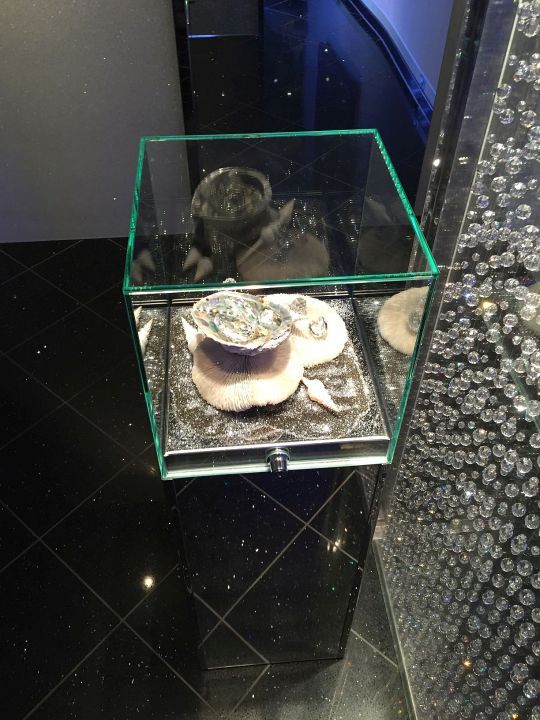 Individuelles /B_111