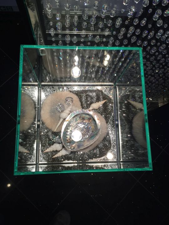 Individuelles /B_113